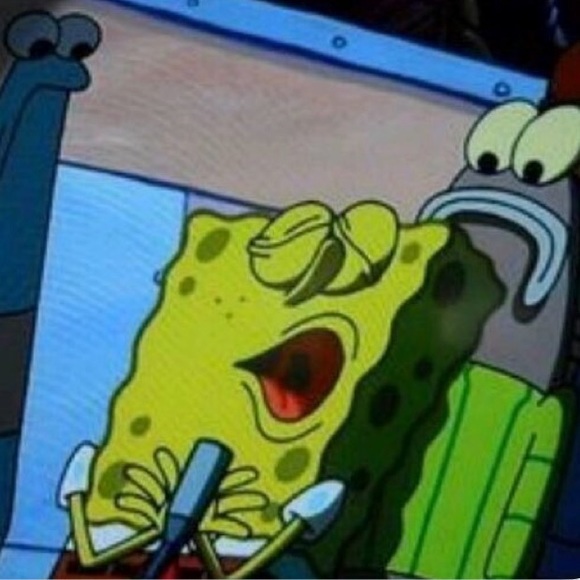 Meet your Posher, Ethan - Picture 1 of 1